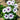 White with Purple Eye African Daisy - Flowers
