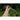 Yard Long Bean (Heirloom 90 Days) Vegetables